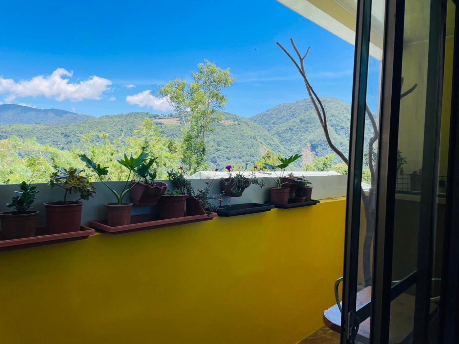 Апартаменты Nantou Fruit House Ренай Экстерьер фото